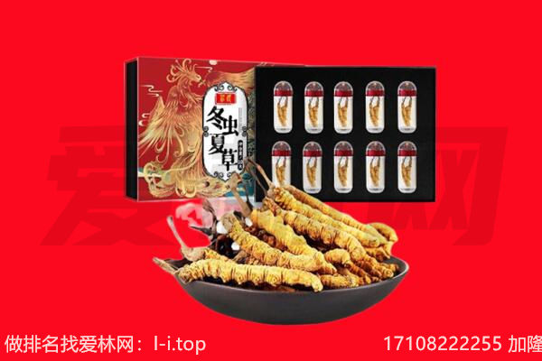宿迁市宿豫回收虫草.jpg